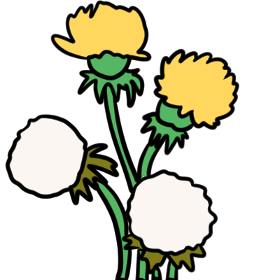 four dandelion stems; two have yellow dandelion flowers and two have white dandelion puffs.
